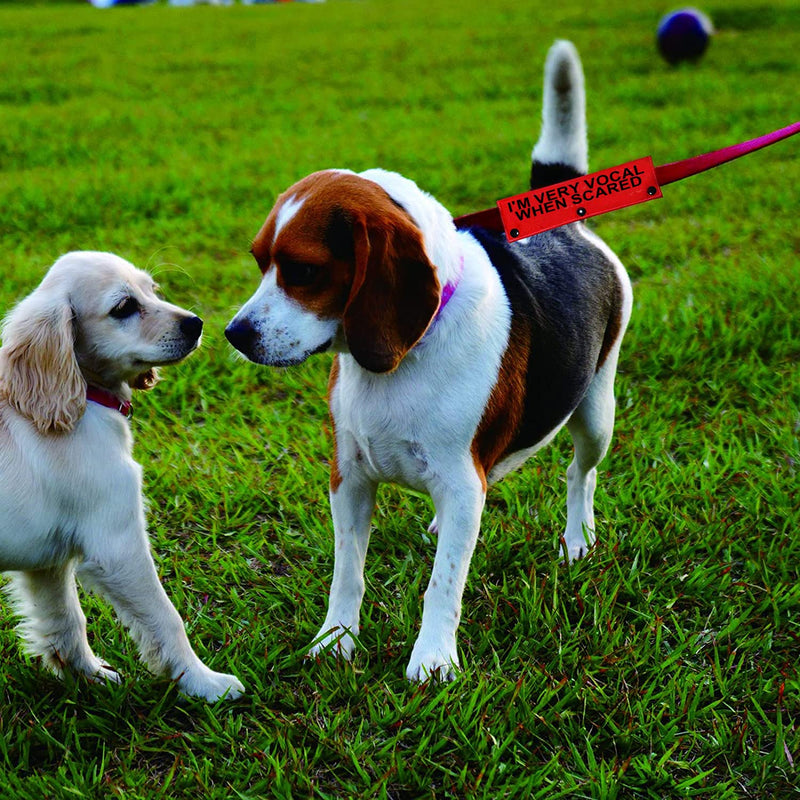 Funny Dog Leash Sleeve I'm Very Vocal When Scared Dog Leash Wrap Sleeve Pet Birthday Gift (I'm Very Vocal-Sleeve) I'm Very Vocal-Sleeve - PawsPlanet Australia