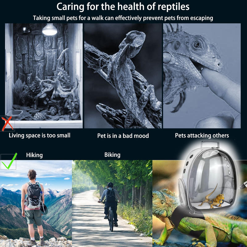 Bearded Dragon Carrier with Harness and Leash Set Large Small Animal Carrier Backpack Bubble Window Portable Small Pet Carrier for Reptile Lizard Rabbit Bird Guinea Pig Cat Travel Walking Bearded Dragon Carrier - PawsPlanet Australia