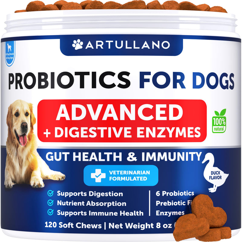 Probiotics for Dogs - Support Gut Health, Itchy Skin, Allergies, Immunity, Yeast Balance - Dog Probiotics and Digestive Enzymes with Prebiotics - Reduce Diarrhea, Gas - 120 Probiotic Chews for Dogs 120 Treats