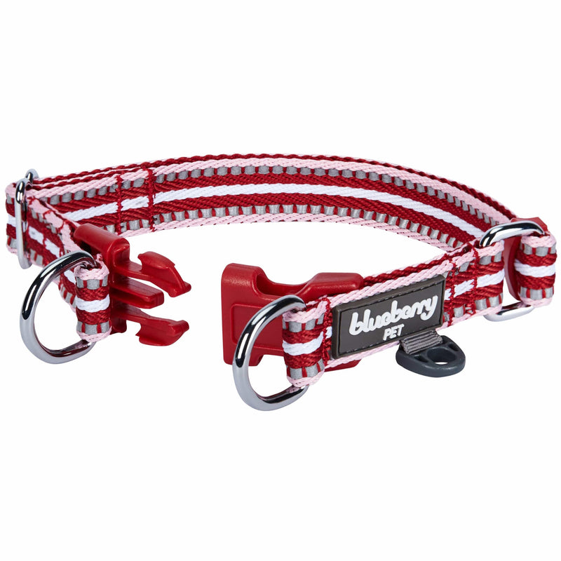Blueberry Pet Safety Dog Collar with Dual D-Rings | 3M Reflective Multi-Colored Adjustable Collar in Marsala Red and Pink | Soft Nylon Dog Collar for Active Small Dogs - PawsPlanet Australia