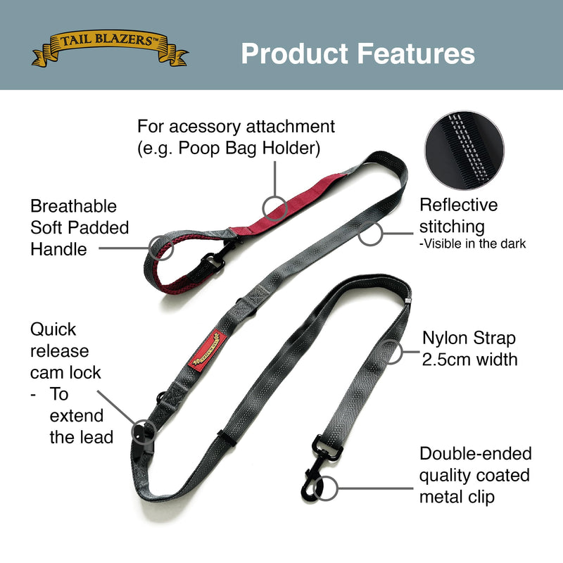 Retractable Dog Lead – Extendable Slip Lead for Small, Medium & Large Dogs, Hands-Free Anti Pull Leash with all harness Compatibility 1.5 to 2.5M Red.Grey One Size - PawsPlanet Australia
