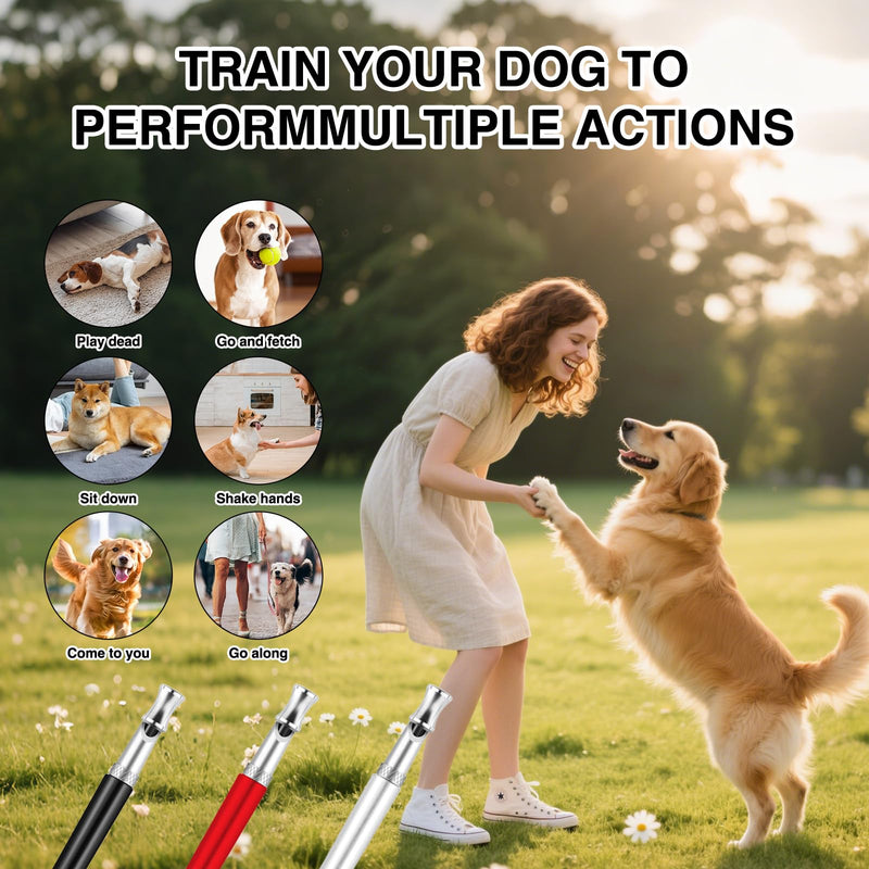 3 Pcs Dog Whistle to Stop Barking with Lanyard, Dog Whistle Training(Black White red) - PawsPlanet Australia