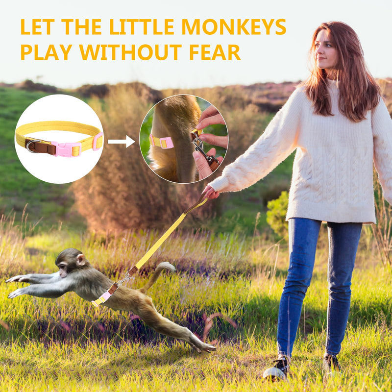 Mini Monkey Leash, Adjustable Monkey Strap with Belly Bands and Matching Leash for Marmoset Monkey, Maximum Dimension 5.7 Inches for Monkey, Comfortable and Durable - PawsPlanet Australia