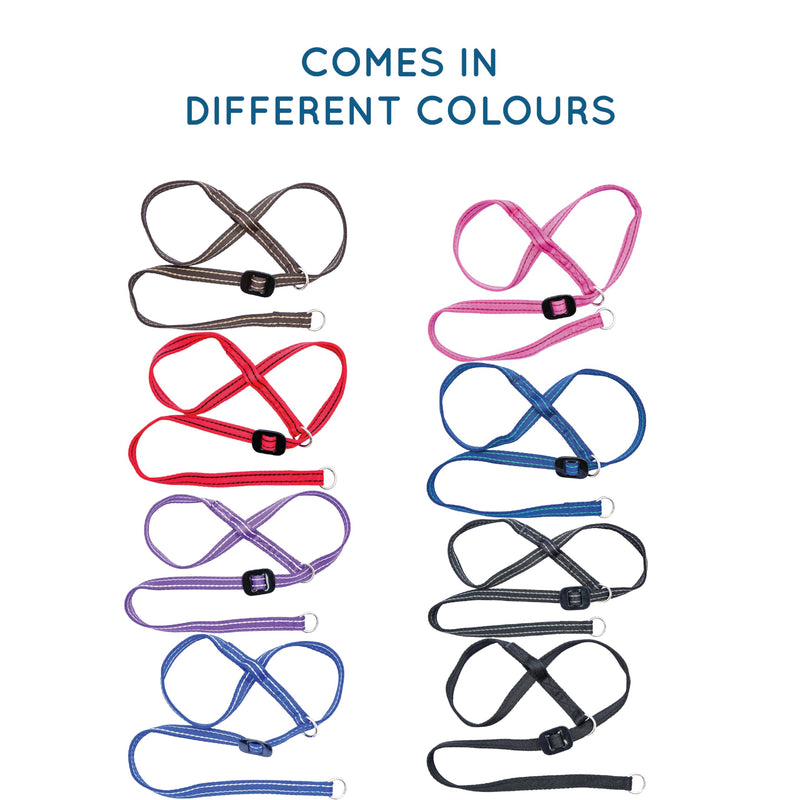 Medium Size Anti Pull Dog Headcollar - Trainer Approved - Soft & Gentle Control - Practical Dog Training & Behaviour Aid - Right Hand - UK Made - Doesn't Include Lead - Purple/Pink Medium - PawsPlanet Australia