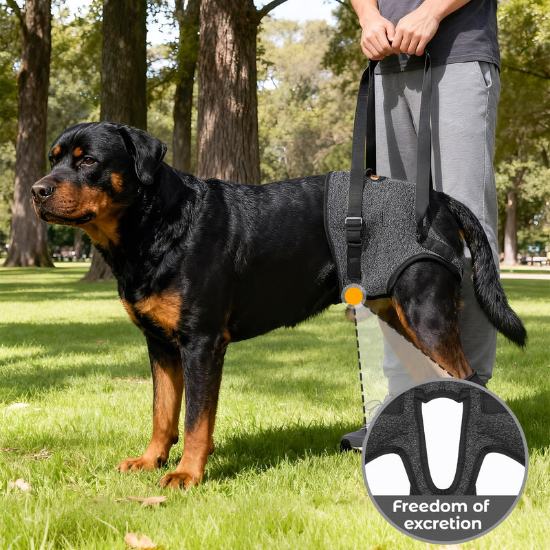Dog Lifting Harness for Back Legs, Walking Assistance Rehabilitation Harness with Padded Handle Adjustable Support Sling Hind Leg Brace, Mobility Aid for Injured, Disabled, Elderly Dogs M