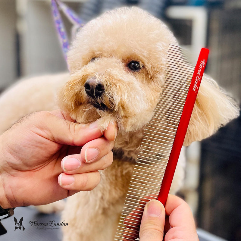 Warren London Detangling Strong Comb for Dogs | 10 inches | Comfort Control Durability and Detail for Small Medium Large Dogs | Ergonomic Dog Cat Grooming Pet Supplies Deshedding Mat Tool - PawsPlanet Australia