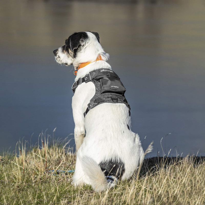 Kurgo Stash n' Dash Harness - Lightweight & Portable Travel Dog Gear - Ripstop Fabric - Reflective Trim - Foldable Dog Running Harness - V-Neck Design - Black - X-Large - PawsPlanet Australia