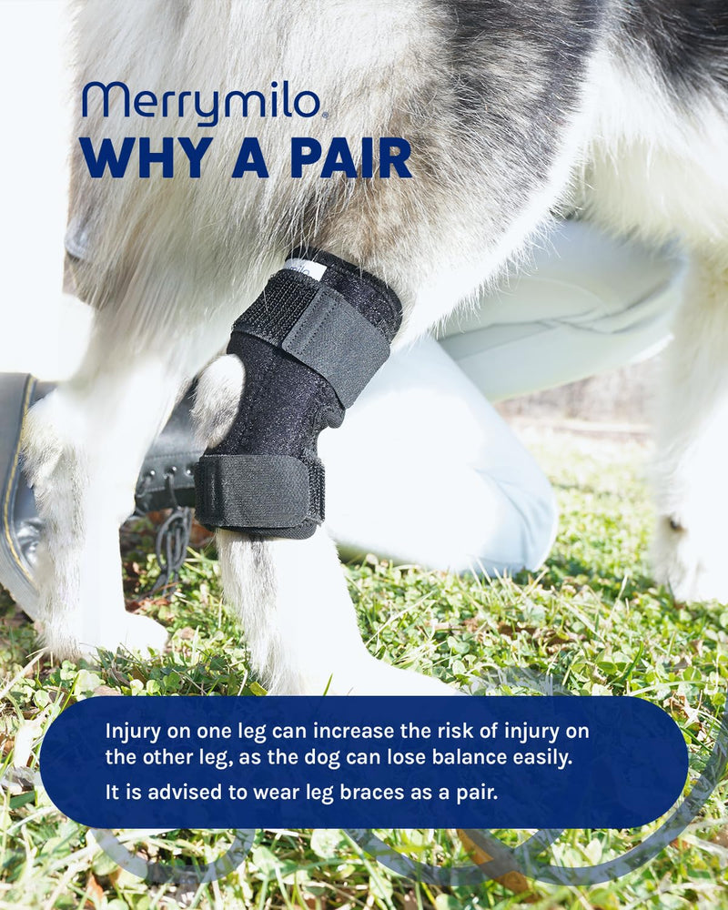 Dog Leg Brace, Sigle Rear Hock & Ankle, Canine Hind Leg Joint Compression Wrap for Torn ACL & CCL, Injury and Sprain Protection, Wound Care and Loss of Stability, Left Leg, Size: M (1 Pack) M(Left Leg, 1 Pack) black
