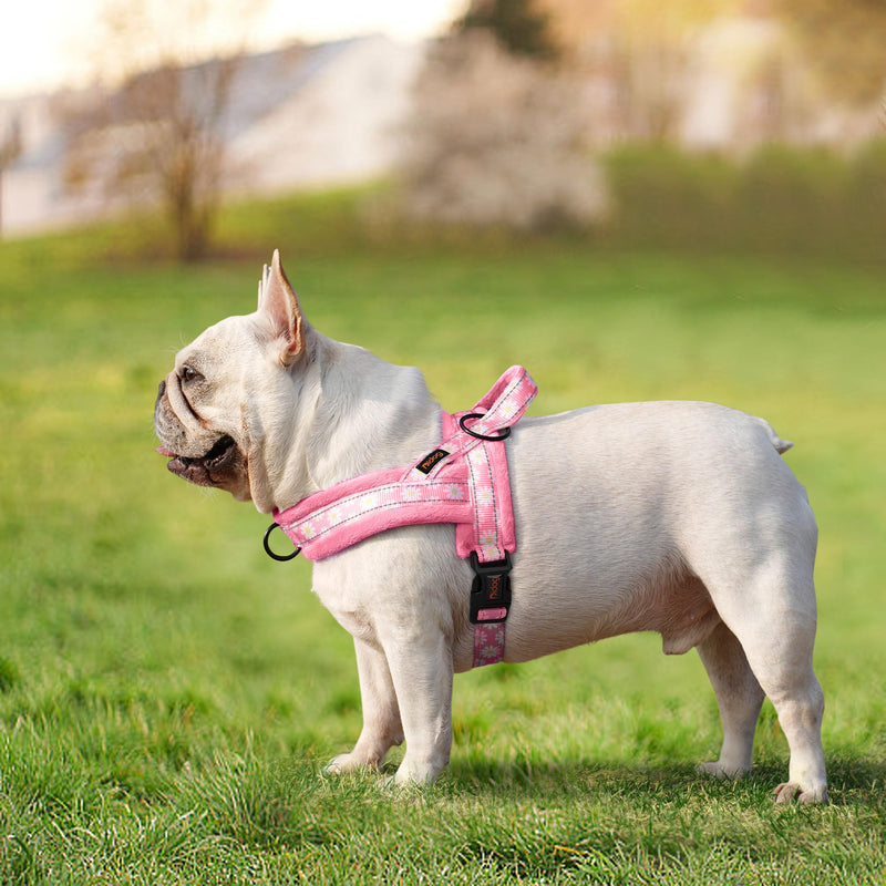 Didog No Pull Dog Harness with Soft Padded, Easy Walk Dog Harness with Quick Release Buckle, Adjustable & Reflective Pet Harness with Soft Padded for Small Medium Dogs (S:Chest 19-22", Pink) S: Chest 19-22", Fit 15-25 lbs - PawsPlanet Australia