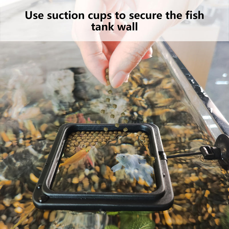 FREESEA Fish Feeding Ring for Aquarium: Square Betta Floating Feeding Ring for Fish tank - PawsPlanet Australia