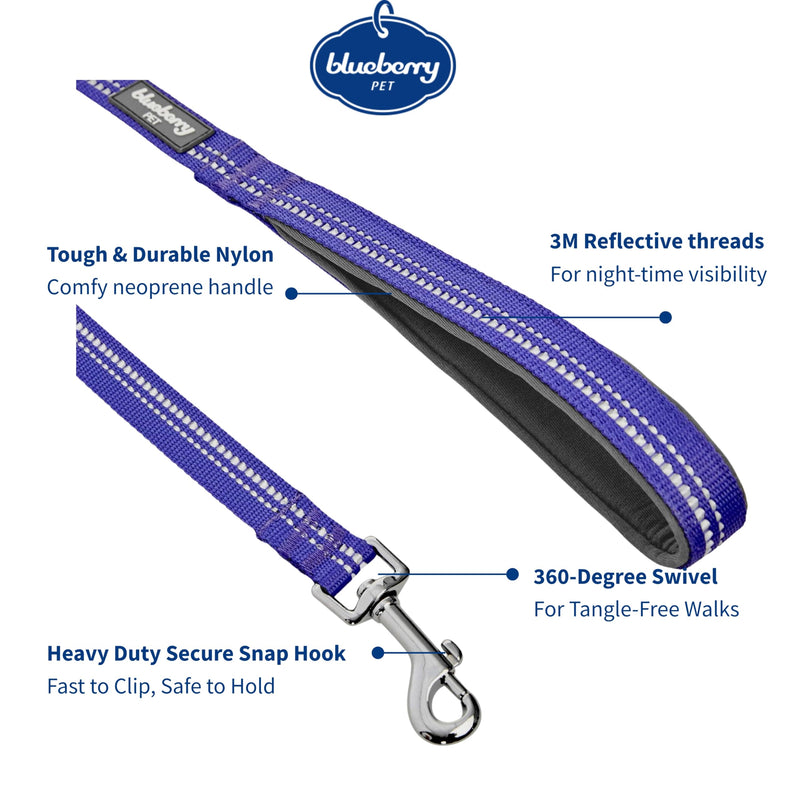 Blueberry Pet 3M Reflective Pastel Color Dog Leash with Soft & Comfortable Handle, 5 ft x 3/4", Violet, Medium, Leashes for Dogs Large