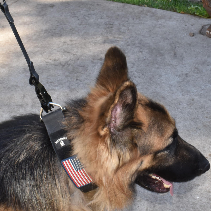 Heavy Duty Waterproof Dog Leash - Large Scissor Frog Quick Release Clasp, PVC Rubber Coated Nylon Training Lead for Large and X-Large Dogs, Odor Free, Durable, Easy to Clean, Nonslip Grip, Secure Hold 10FTLG BLACK PVC