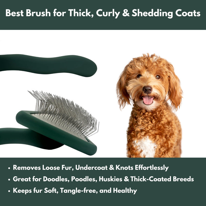 Premium Dog Slicker Brush – Doodle Grooming Brush for Long Haired Dogs - Goldendoodle, Labradoodle, Poodle & Golden Doodle – Ideal for Wavy & Curly Hair - Detangles & Fluffs Curly, Double Coats - PawsPlanet Australia