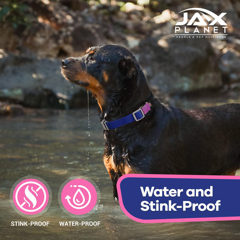 Jelly Waterproof Martingale Dog Collar, No Pull Nylon Collar with Alloy Metal Buckle & D-Ring for Outdoor Training and Walking, Anti Pull, Escape Free, One Time Adjustment - Blue & Rose, L Collar:(L)Neck:18.0"~22.8" Collar:Blue-Rose