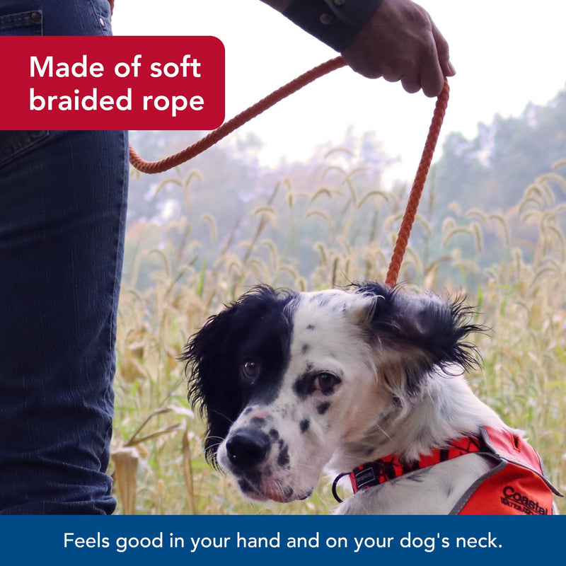 Water & Woods Braided Rope Dog Slip Leash by Coastal Pet - Heavy-Duty Dog Leash - Comfortably Accommodate Various Sizes - Easy Slip Design - Green & White, 1/2" x 6' - PawsPlanet Australia