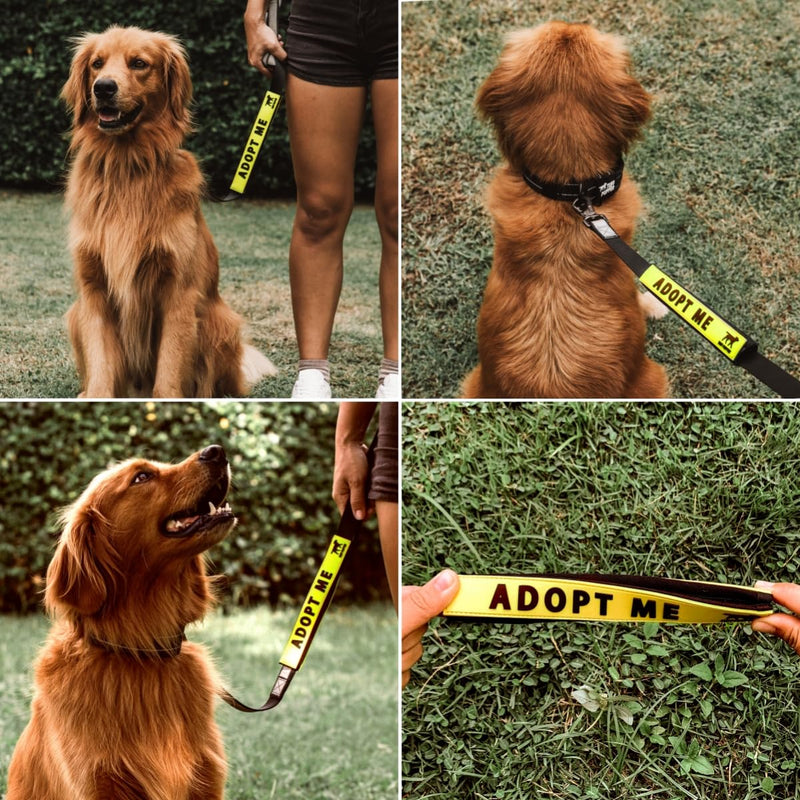 Tuff Pupper Waterproof Leash Sleeve | Fits Any Standard Size 1 Inch Wide Leash | Dual Sided Message | Durable Neoprene & Silicone | Odor & Stink Proof | Easy Secure On & Off (1 Pack, Adopt Me) Leash Sleeve - 1 Pack - PawsPlanet Australia