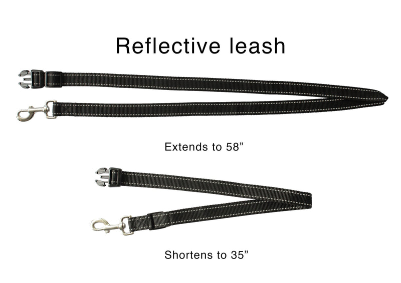 Running Leash for Dogs - Hands Free Dog Leash for Training, Hiking & Walking - Non Bungee for More Control - Around The Waist Dog Leash Belt for Small Medium or Large Dogs - PawsPlanet Australia