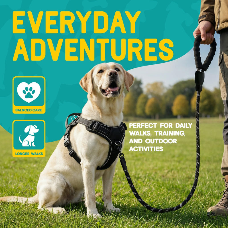 No Pull Dog Harness and Leash Set for Large Dogs – Adjustable Reflective Breathable Soft Padded Easy Control Dog Harness for Training & Walking, Black (Large) Large (Neck: 14.2"-22.4", Chest: 18.9"-33.1") - PawsPlanet Australia