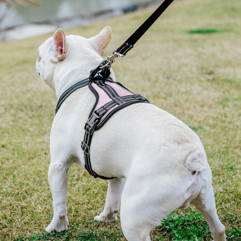 PUPTECK Dog Harness and Leash Set Small Sized, Adjustable Reflective Escape Proof Puppy Vest, No Pull Walking Harness Easy Control S (6-14lb, NECK 15", CHEST 14"-17") Pink - PawsPlanet Australia