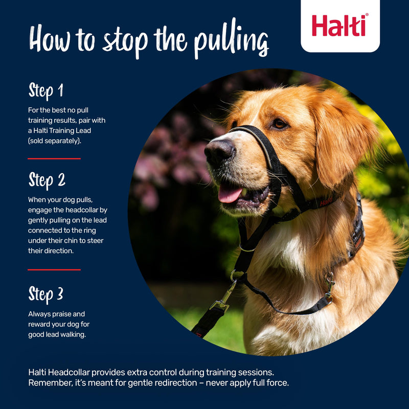 HALTI Headcollar - to Stop Your Dog Pulling on The Leash. Adjustable, Reflective and Lightweight, with Padded Nose Band. Dog Training Anti-Pull Collar for Medium Dogs (Size 2, Burnt Orange) - PawsPlanet Australia