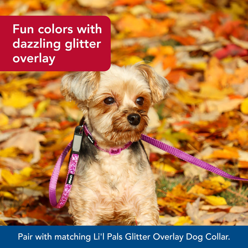 Coastal Pet Li'l Pals Dog Leash with Glitter Overlay - For Walking Small Pets - Ensures Comfortable Stroll - Lightweight Leash with One-Handed E-Z Snap - Orchid Sparkles, 3/8" x6' - PawsPlanet Australia