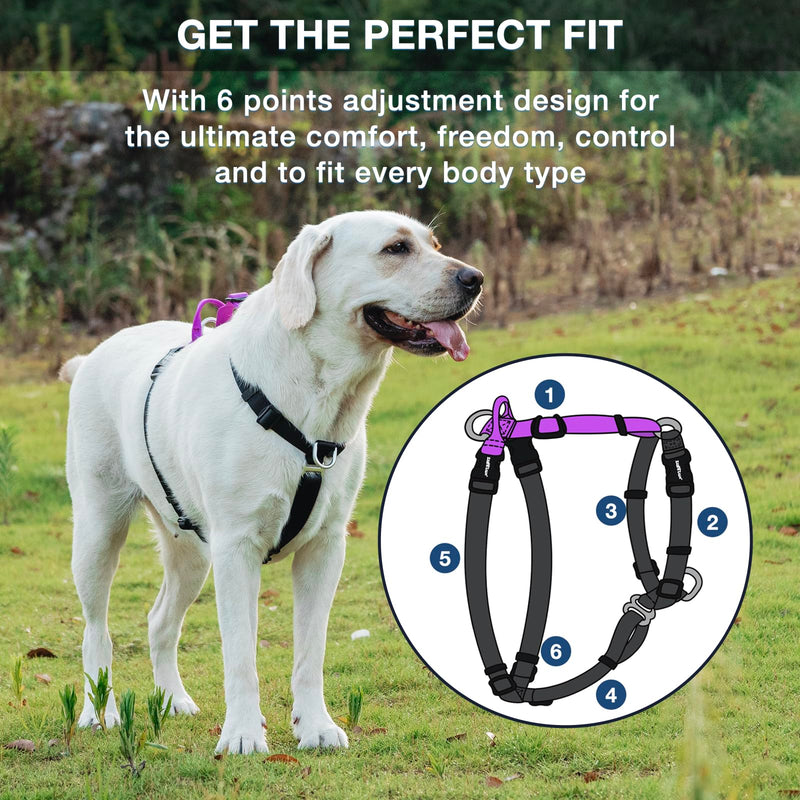 No Pull Dog Harness, Non-Restrictive Harness with Neck Buckle, Nylon Straps, Aluminum D-Rings, 6 Points Adjustment for Ultimate Fit, Easy Walking and Training (Red/Black, S) Red/Black - PawsPlanet Australia