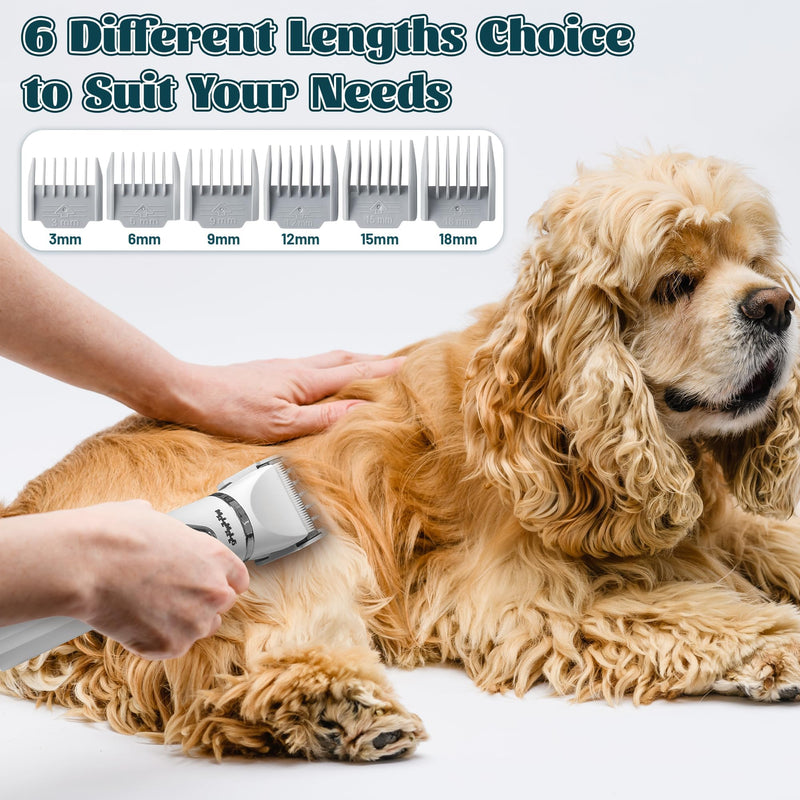 MALLMALL6 4 in 1 Dog Grooming Kit, High Performance 4 Hours Battery Life Professional Pet Clipper Set for Thick Fur, 2 Speed Low Noise Cat Shaver Paw Trimmer for Home Pet Grooming Shop White - PawsPlanet Australia
