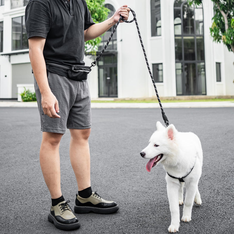 5ft Hands Free Dog Leash, Waist Dog Leash, Heavy Duty Belt Dog Leashes with Zipper Pouch, and Highly Reflective Threads for Walking, Jogging, and Running with Your Dog - PawsPlanet Australia