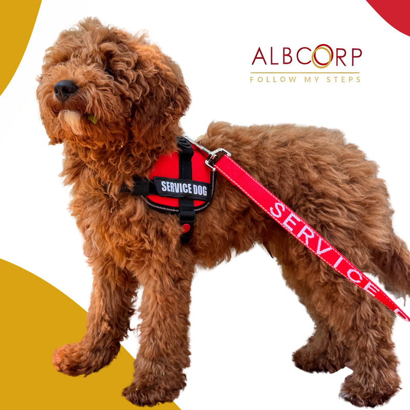 ALBCORP Service Dog Vest Harness – Reflective Service Animal Vest with Handle, No-Pull Adjustable Mesh Padding – XXS–XL – 2 Removable Patches. (Small, Black) S 20''- 27'' Girth - PawsPlanet Australia