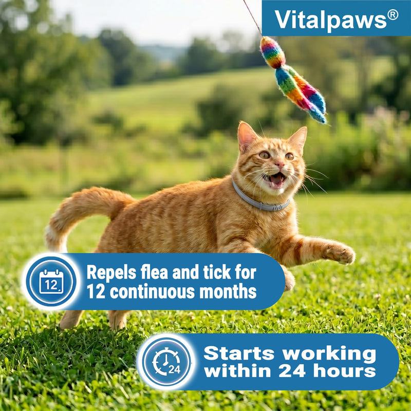 Flea Collar for Cats 2 Pack - 12 Month Natural Flea and Tick Prevention for Cats, Waterproof Cat Flea Collar with Continuous Release, Adjustable Kitten Collar