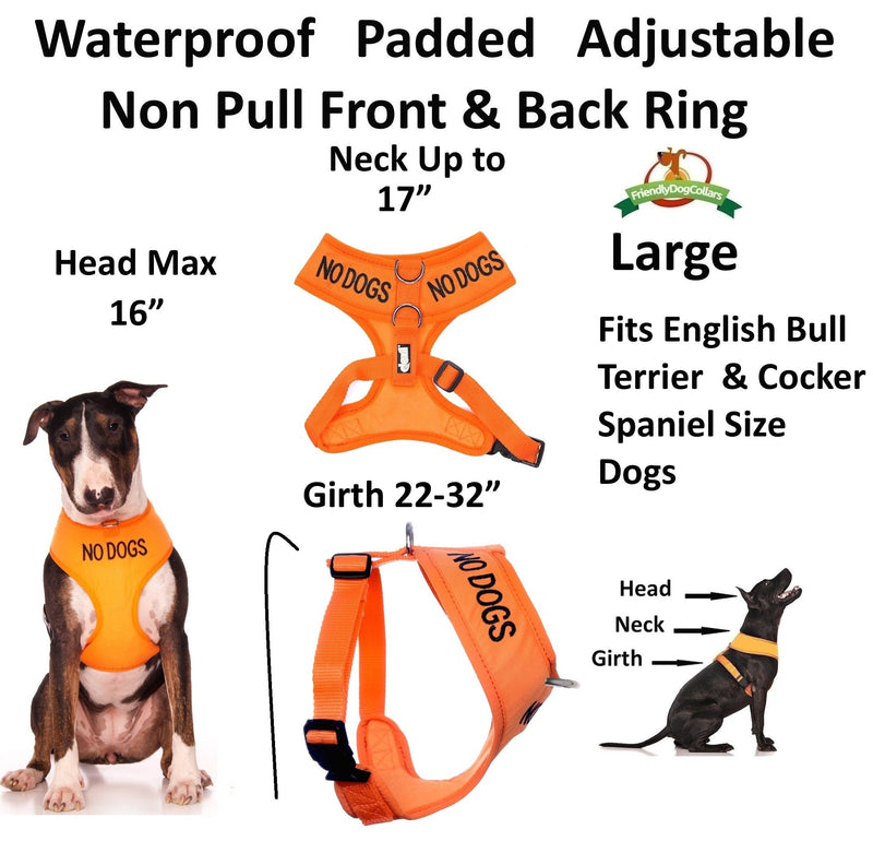 Dexil Limited NO Dogs (Not Good with Other Dogs) Orange Color Coded Non-Pull Front and Back D Ring Padded and Waterproof Vest Dog Harness Prevents Accidents by Warning Others of Your Dog in Advance Large Harness 22-32inch Chest/Girth - PawsPlanet Australia