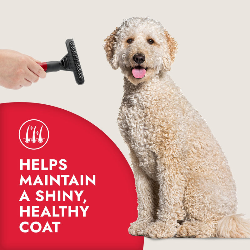 KONG Double-Sided Rake & Deshedding Tool – Detangling & Shedding Control, Rounded Metal Tips, Non-Slip Grip, for Medium to Large Dogs with Medium to Long Coats, Red/Gray - PawsPlanet Australia