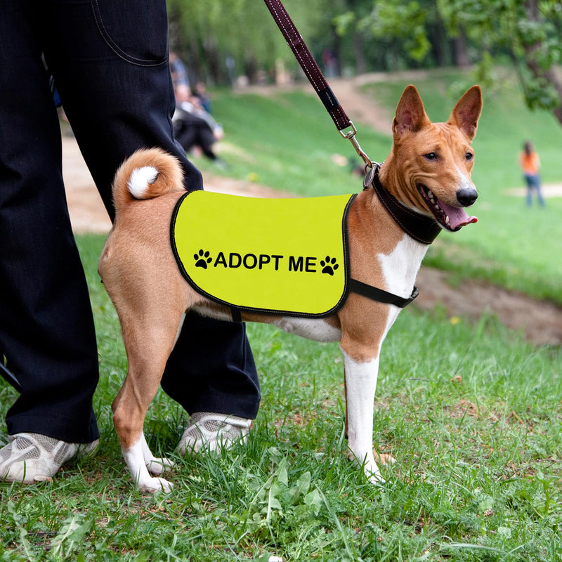 Rescue Dog Jacket Vest Adopt Me Dog Vest Foster Dog Slogan Vest (Adopt Me-Large) Adopt Me-Large - PawsPlanet Australia