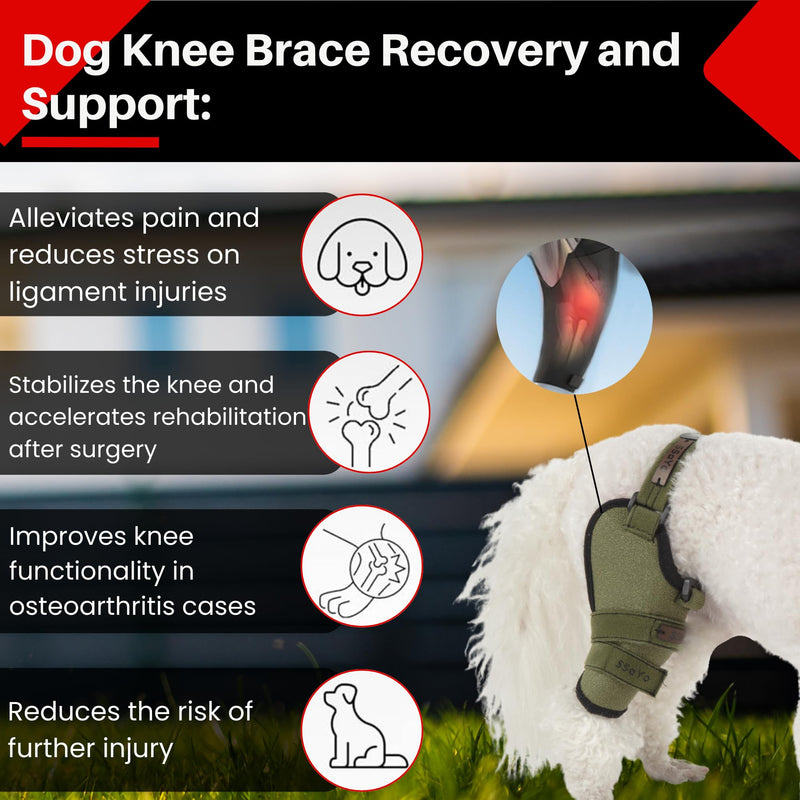 Dog Knee Brace for Male/Female Dogs - Neoprene Support Dog Leg Braces for Back Leg with Adjustable Straps and Belt - Torn ACL Hind Leg, Ligament Injury, Joint Pain and Stability (Medium, Left) Medium - PawsPlanet Australia