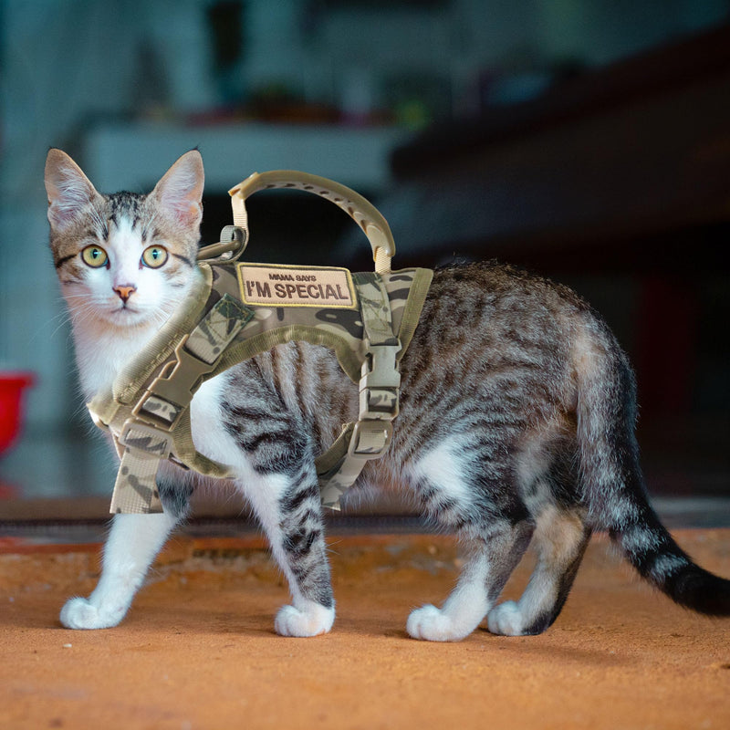 AIWAI Tactical Cat Harness for Walking Escape Proof, Adjustable Pet Vest Harness, Soft Mesh with Control Handle for Large Cat Small Dog, Gift with Patch (Camouflage, cat Harness and Leash Set) One Size - Harness and Leash Set Camouflage