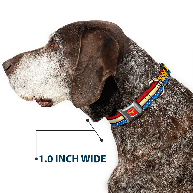 Buckle Down DC-WWW040-WS Seatbelt Dog Collar, Wide Small, Wonder Woman Logo Stripe/Stars Red/Gold/Blue/White (repeat WW logo) 1.5" Wide - Fits 13-18" Neck - Small Wonder Woman Logo Stripe/Stars Red/Gold/Blue/White (repeat WW logo) - PawsPlanet Australia
