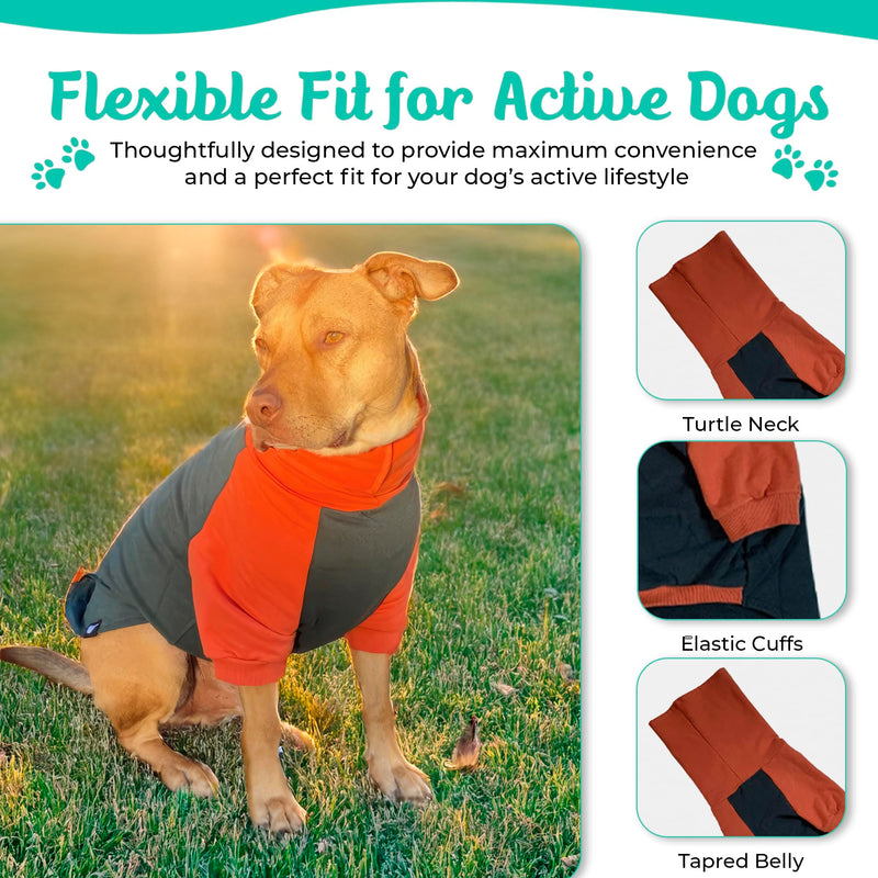 Tooth & Honey Pitbull Dog Sweater - Dark Green & Orange (Large) Large - PawsPlanet Australia