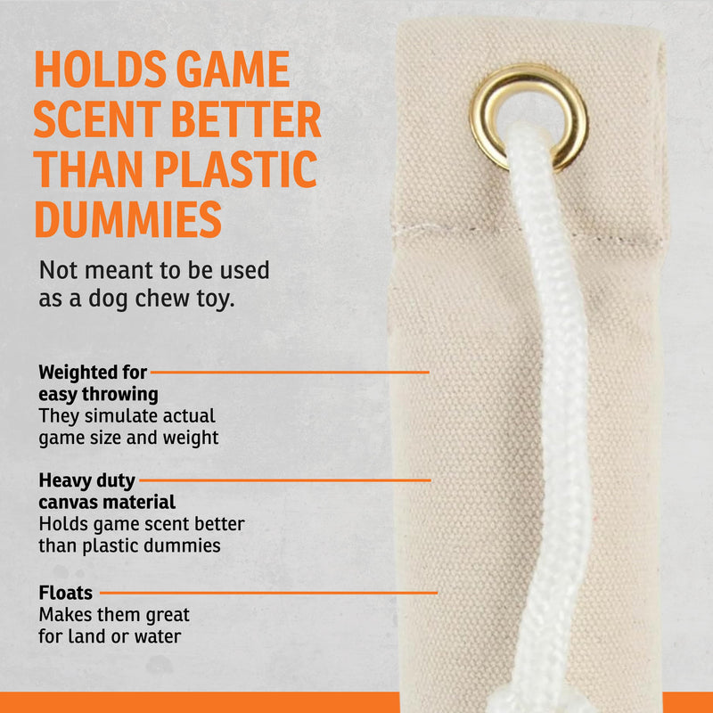SportDOG Canvas Dummies - Hunting Dog Training Tool - Game Scent Absorber - Water-Ready Bumper - Durable Field Dummy - Weighted Toy - Puppy Size - 2.25" W X 8.5" L - Natural 1 Count (Pack of 1) - PawsPlanet Australia