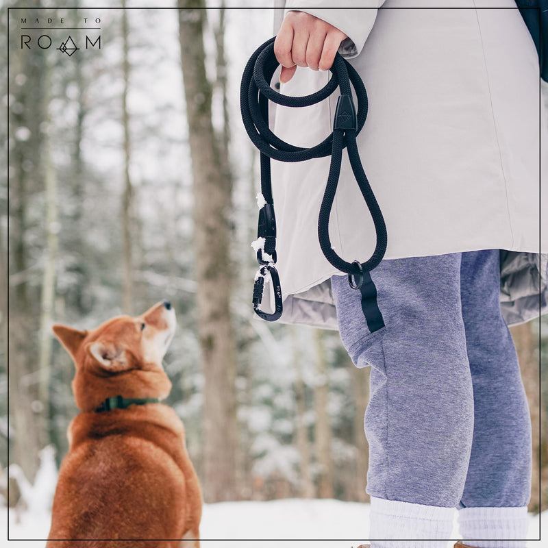 Premium Explorer Leash - Climbing Rope Leash with Autolocking Aviation Aluminum Carabiner - Colorado Nightsky, 6ft 6 Feet - PawsPlanet Australia