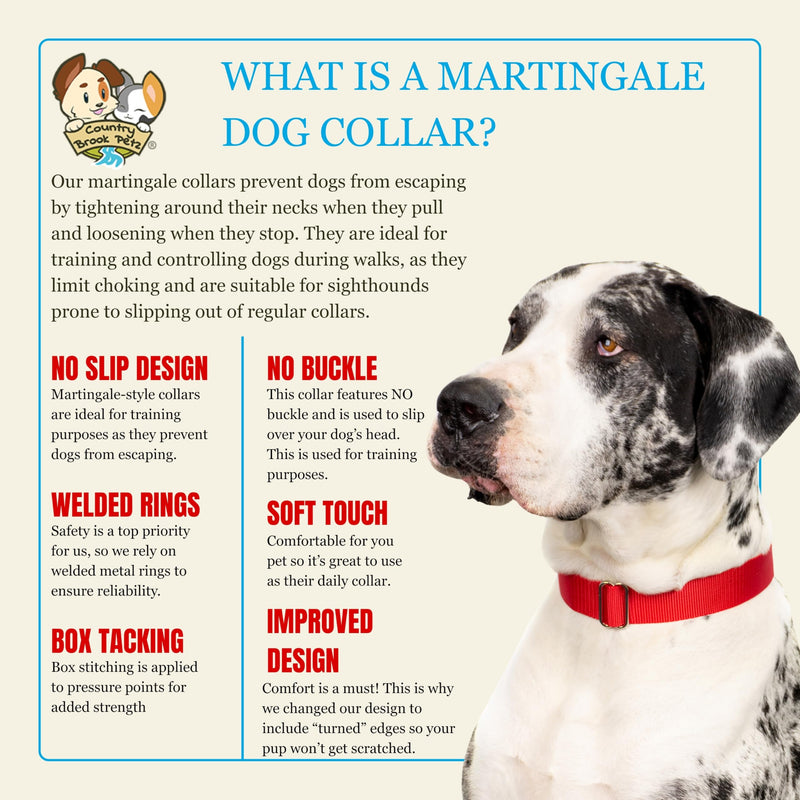Country Brook Petz - Martingale Dog Collar - Heavy-Duty Training Collar with No Buckle - Service Dog Collar for All Pups - 10+ Warm Colors (Red, 1 Inch, Large) Large (Pack of 1) Red