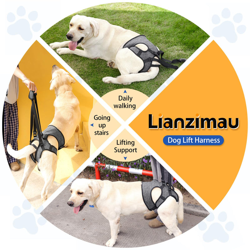LIANZIMAU Dog Sling for Large Dogs Adjustable Hind Leg Support Lift Harness Senior Canine Mobility Aid Carrier for Back Legs Walking Rehabilitation Grey L - PawsPlanet Australia