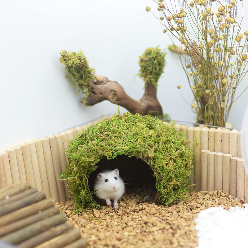 Hamster Hideaway,Mossy Cave Hide,Hamster House/Hides,Hamster Cage Accessories for Gguinea Pig/Hedgehogs/Gliders/Rats/Mice and Other Small Animals (Large) Large - PawsPlanet Australia