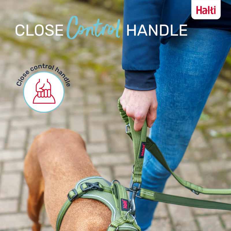 HALTI Anatomy Multifunctional Dog Leash - Shock Absorbing Double-Ended Leash, Ideal for Dog Walking & Training. Comfortable to Hold, Reflective & Lightweight. Suitable for Puppies (Size Large, Green) L - PawsPlanet Australia