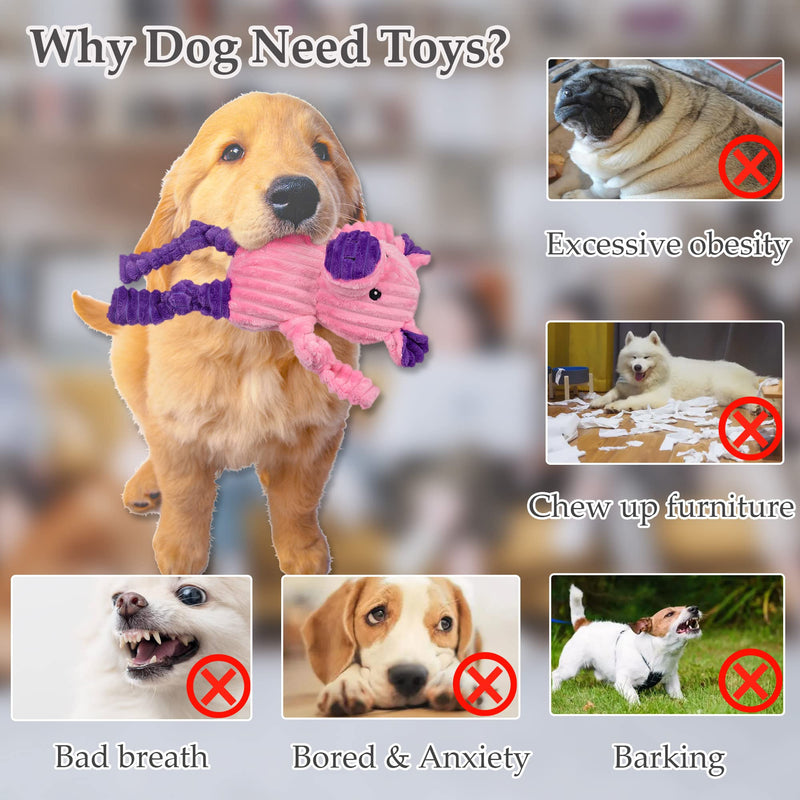 5 Pack Tough Dog Toys Stuffed Squeaky Dog Toys Assortment Plush Animal Dog Toy Value Bundle Puppy Pet Dog Toys for Small Medium Large Dogs 5pack - PawsPlanet Australia