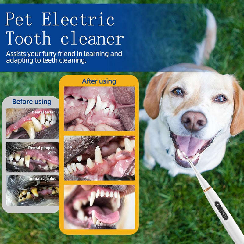 Dog Tartar Remover for Teeth, Dental Tools to Remove Plaque and Tartar, Pet Teeth Cleaning Kit with LED Light & USB, 5 Modes, IPX6 Waterproof, Silent Sonic for All Dogs and Cats, White - PawsPlanet Australia