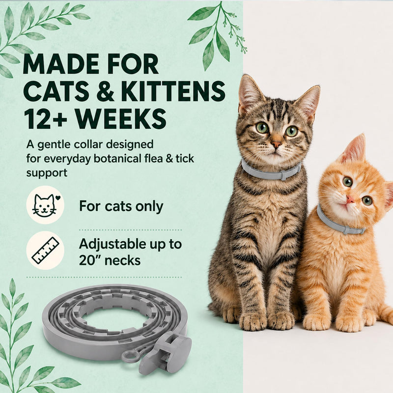 Flea Tick Prevention Collars for Cats: Essential Oil-Based Collar for 4 Month Support - Natural Fleas Ticks Breakaway Collar for Large & Small Cat, Outdoor Fleas Ticks Control for Kittens Gray