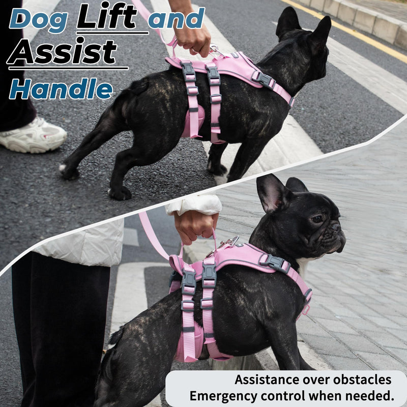 Escape Proof Dog Harness and Leash Set, Lightweight Dog Harness with Lift and Assist Handle, No Pull Reflective Pet Vest for Small Medium Dogs, Ideal for Puppy Walking and Training (Pink, M) Pink (Harness+Leash) - PawsPlanet Australia