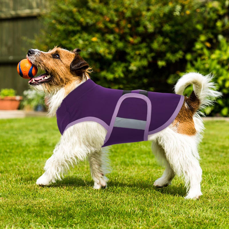 MIGOHI Dog Anxiety Relief Coat,Comfort Anxiety Vest for Dogs,Adjustable Dog Anxiety Calming Wrap for Fireworks,Thunderstorm,Travel, Separation, Dog Anxiety Jacket for Dogs for Small Dogs S Purple - PawsPlanet Australia