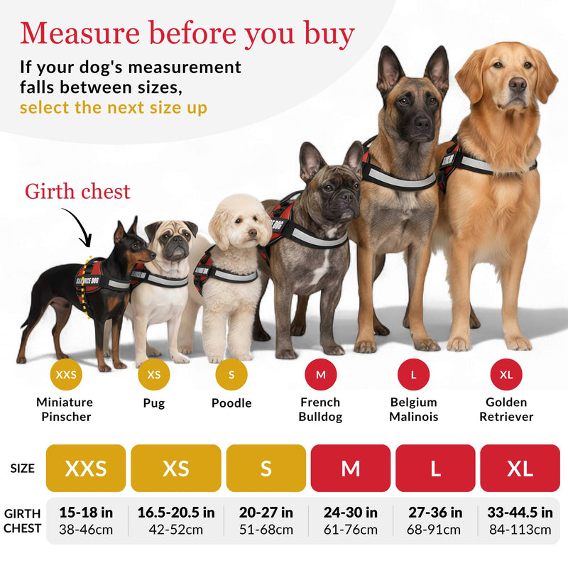 ALBCORP Service Dog Vest Harness – Reflective Service Animal Vest with Handle, No-Pull Adjustable Mesh Padding – XXS–XL – 2 Removable Patches. (Small, Black) S 20''- 27'' Girth - PawsPlanet Australia