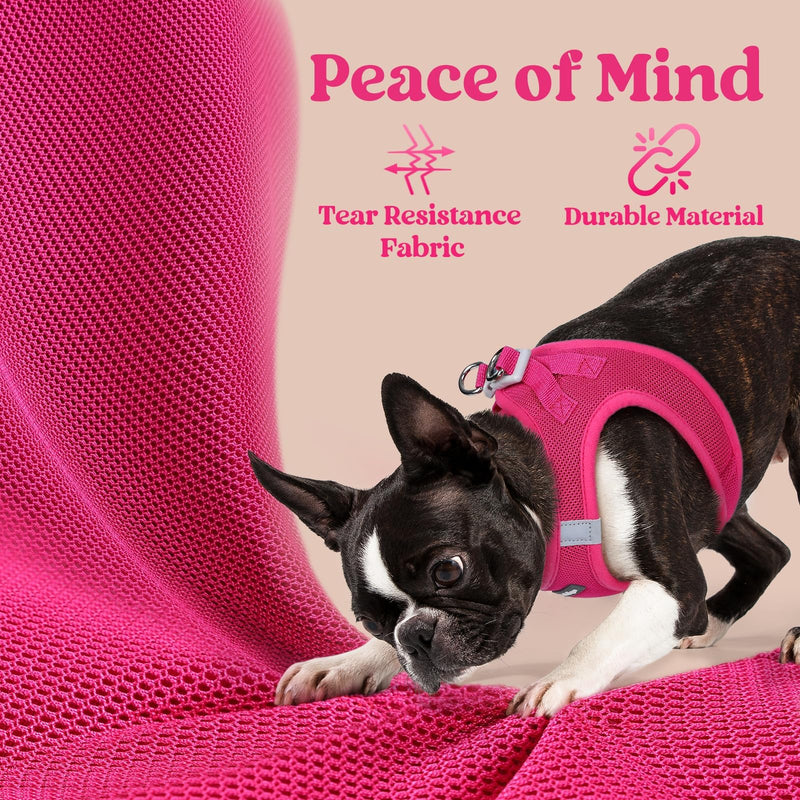 rabbitgoo Small Dog Harness, Step-in Soft Mesh Puppy Vest with Safety Buckle, Breathable Reflective Pet Harness for Small Sized Dogs, Rose Red S S(Chest:15.1"-16.5") - PawsPlanet Australia